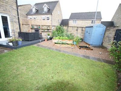 Picture 12